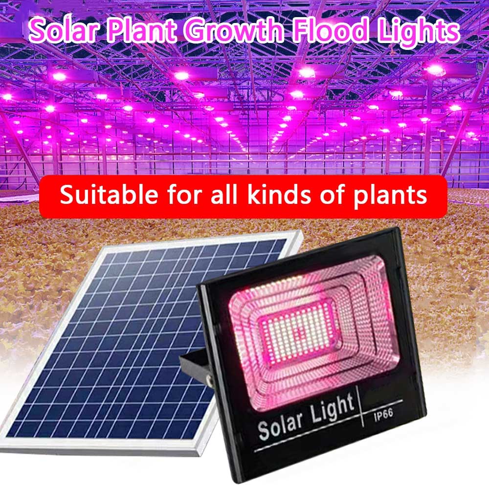 Solar LED Grow Light Full Spec - Outdoor Power And Plant review and price