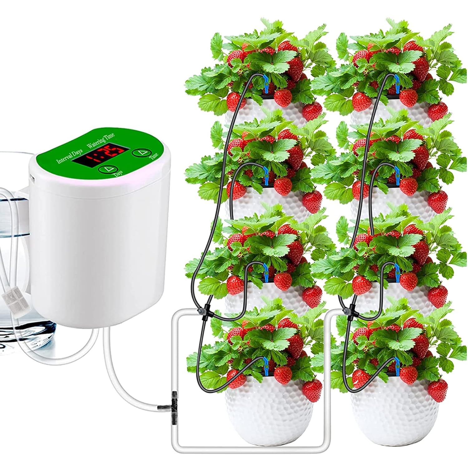 Outdoor Garden Plant Watering  - Outdoor Power And Plant review and price
